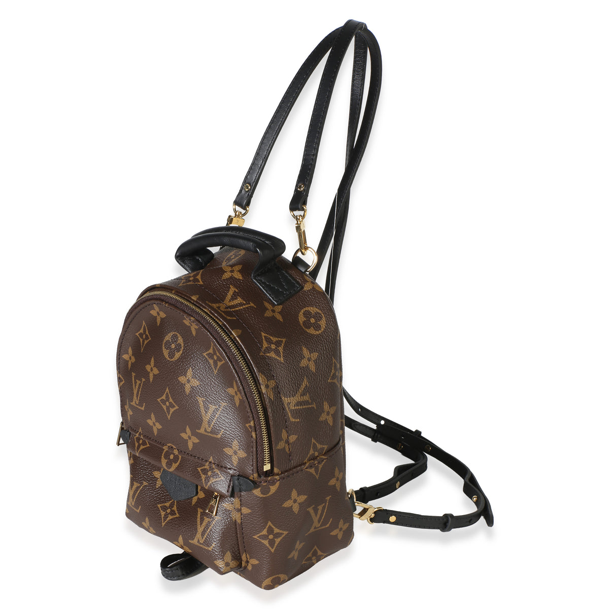 Louis Vuitton Monogram Canvas Mini Palm Springs Backpack Handbag 2