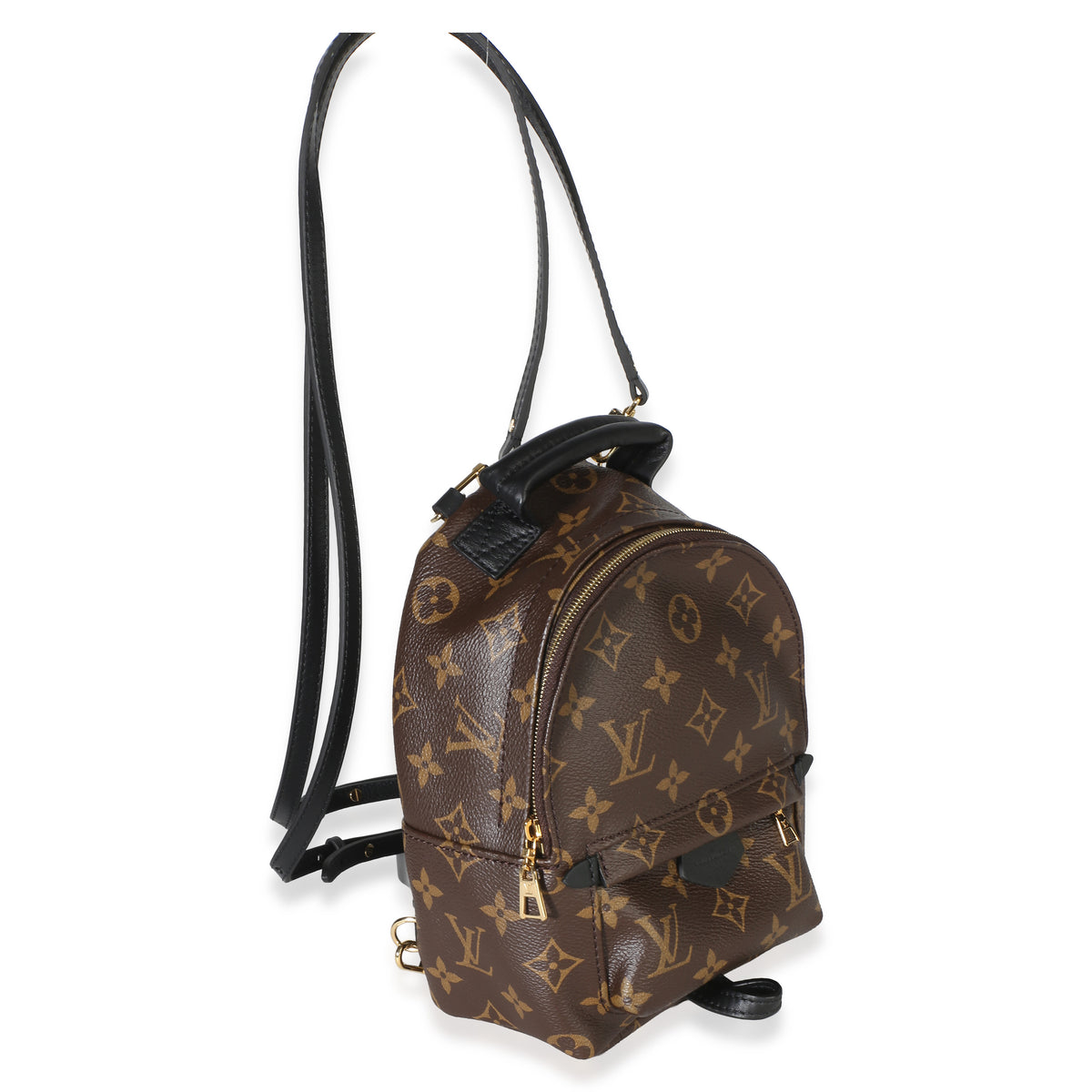 Louis Vuitton Monogram Canvas Mini Palm Springs Backpack Handbag 3