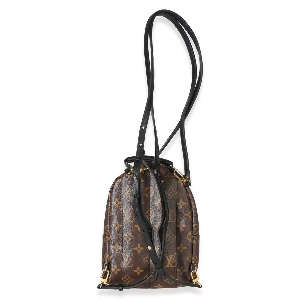 Louis Vuitton Monogram Canvas Mini Palm Springs Backpack Handbag 4