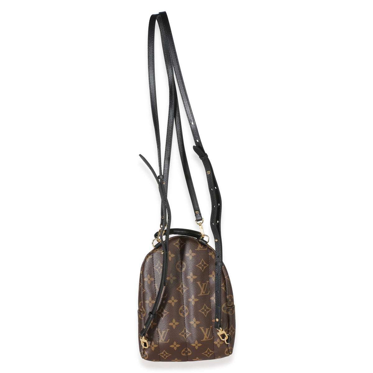 Louis Vuitton Monogram Canvas Mini Palm Springs Backpack Handbag 5