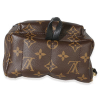 Louis Vuitton Monogram Canvas Mini Palm Springs Backpack Handbag 7