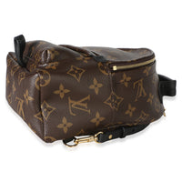 Louis Vuitton Monogram Canvas Mini Palm Springs Backpack Handbag 8