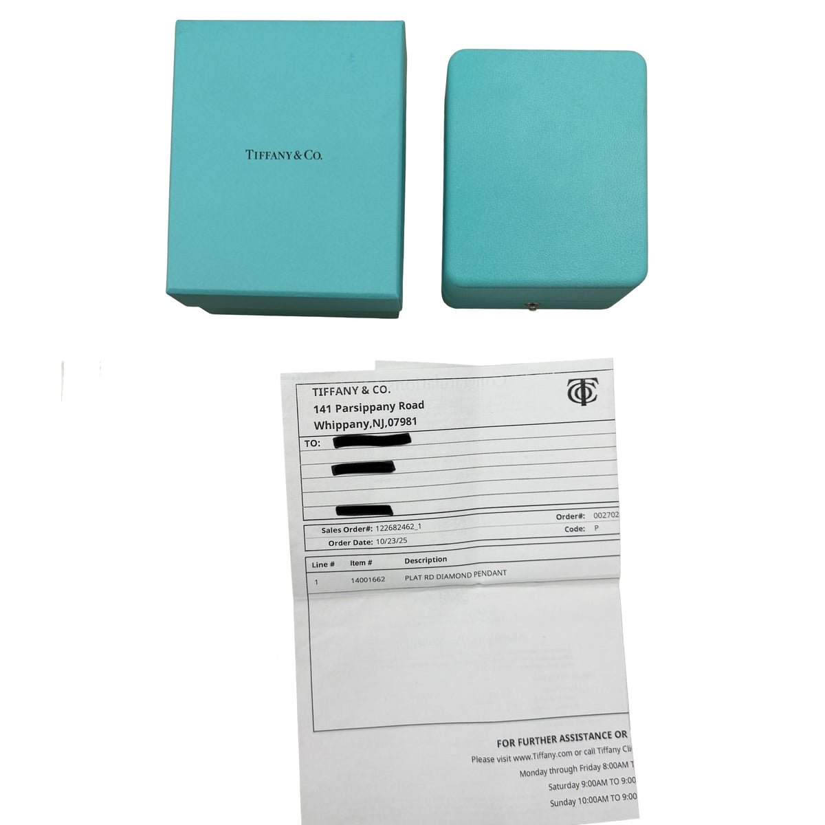 Tiffany & Co. Platinum Diamond Solitaire Pendant box