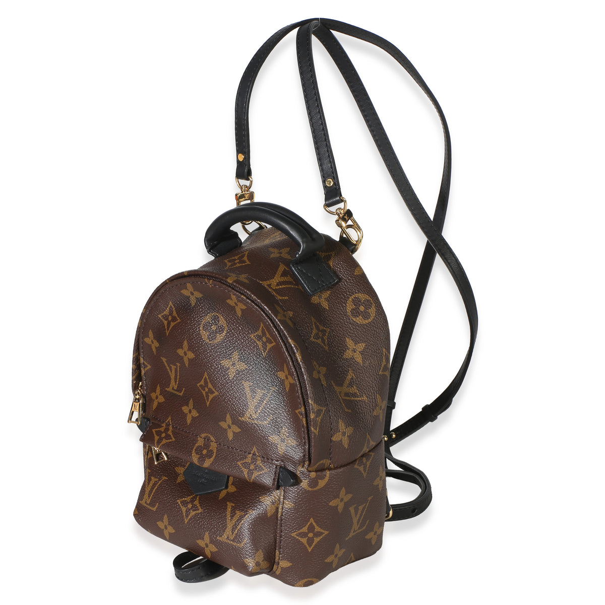 Louis Vuitton Monogram Canvas Mini Palm Springs Handbag 2