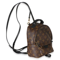 Louis Vuitton Monogram Canvas Mini Palm Springs Handbag 3