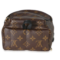 Louis Vuitton Monogram Canvas Mini Palm Springs Handbag 5