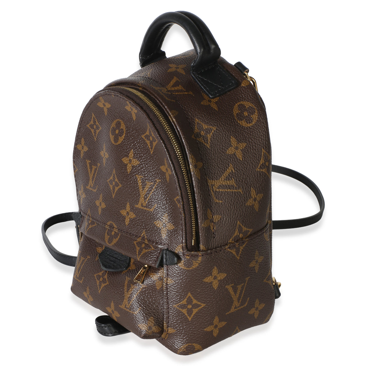 Louis Vuitton Monogram Canvas Mini Palm Springs Backpack Handbag 2