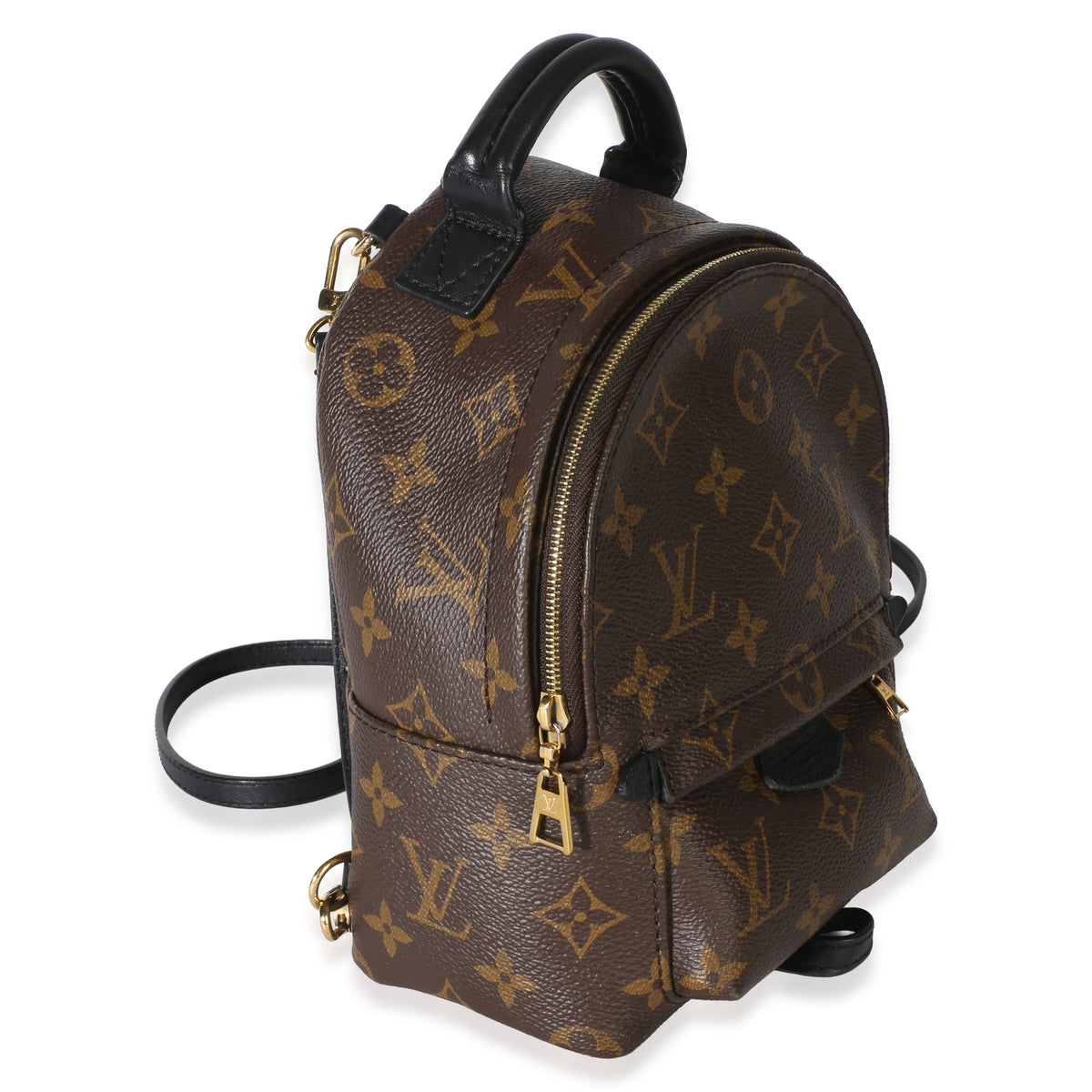 Louis Vuitton Monogram Canvas Mini Palm Springs Backpack Handbag 3