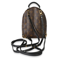 Louis Vuitton Monogram Canvas Mini Palm Springs Backpack Handbag 4