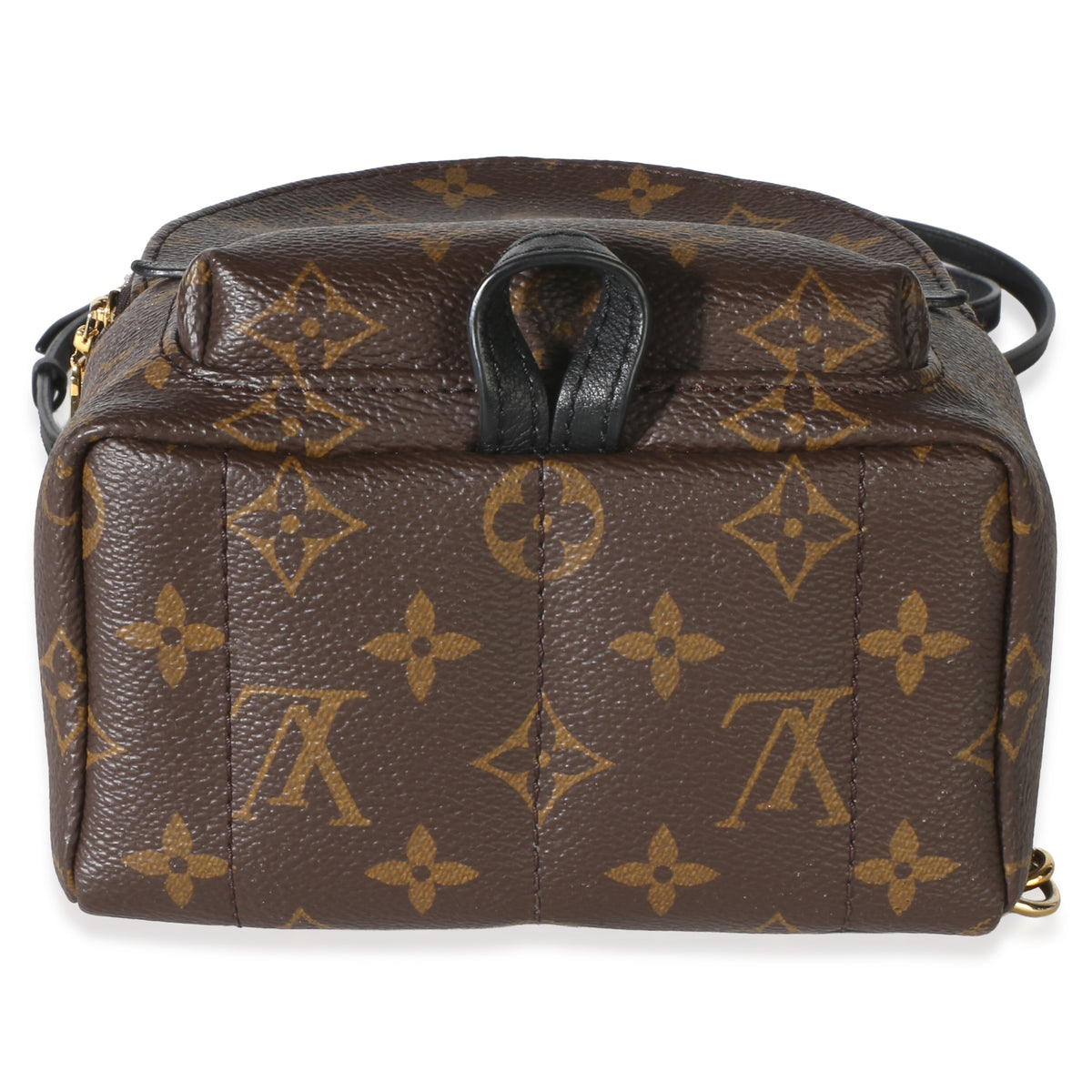Louis Vuitton Monogram Canvas Mini Palm Springs Backpack Handbag 5