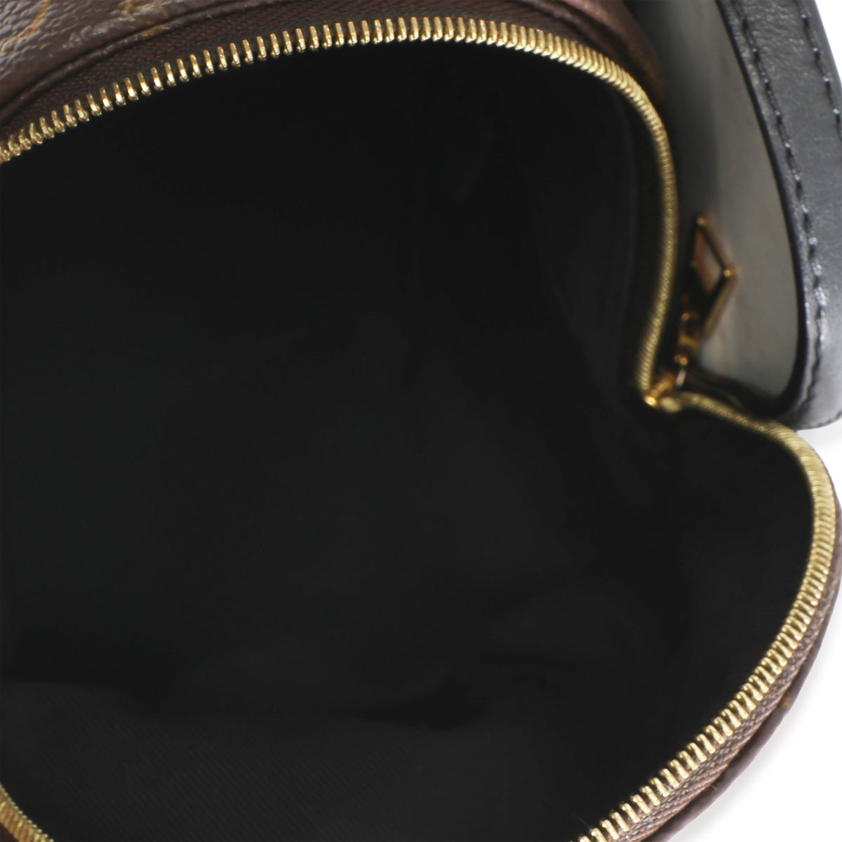 Louis Vuitton Monogram Canvas Mini Palm Springs Backpack Handbag 8