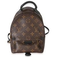 Louis Vuitton Monogram Canvas Mini Palm Springs Backpack Handbag id