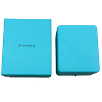 Tiffany & Co. Yellow Gold Diamond Large Model Double Link HardWear Pendant box