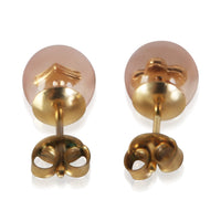 Louis Vuitton Inclusion Earrings 3