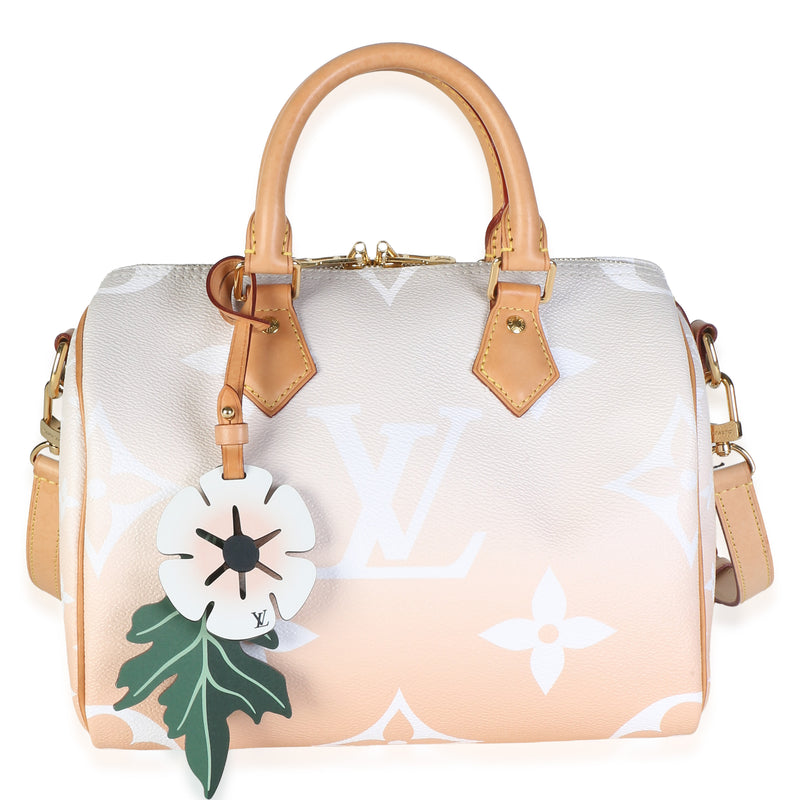 Louis Vuitton Brume Monogram Giant By The Pool Canvas Speedy Bandouliere 25 Handbag id