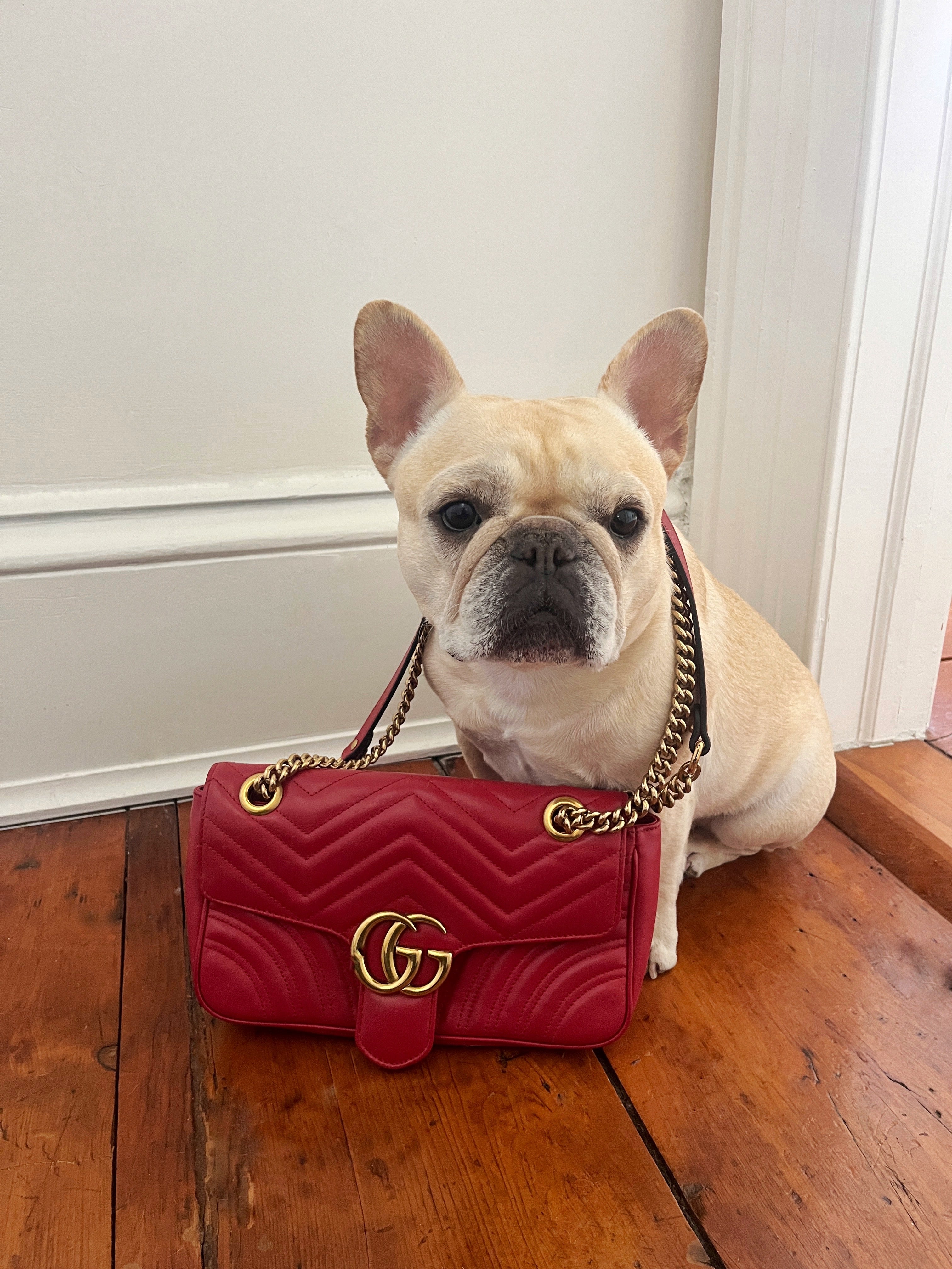 designer handbags Chanel Chloe YSL