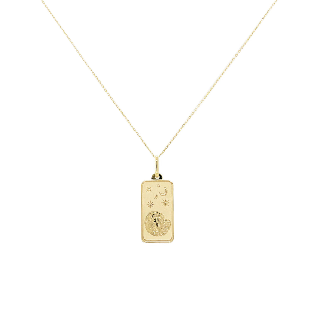 Sabrina Designs Co. Leo Zodiac Dog Tag Necklace in 14K Yellow Gold fv