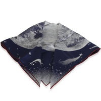 Hermès Marine Blanc Bordeaux Silk Clair De Lune Scarf 70 2