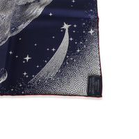 Hermès Marine Blanc Bordeaux Silk Clair De Lune Scarf 70 3