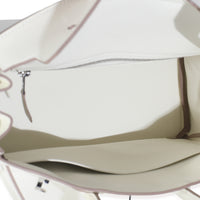 Hermès Mushroom Swift Birkin 25 PHW Handbag ad2