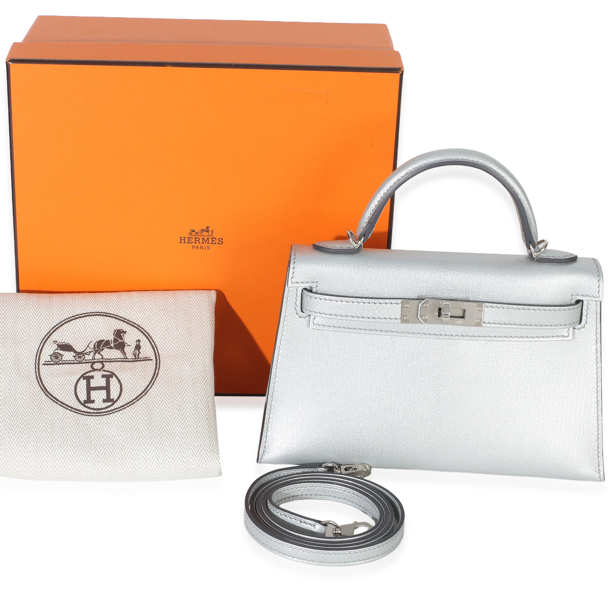 Hermès Argent Metallic Chevre Chamkilight Sellier Mini Kelly II 20 PHW Handbag pv