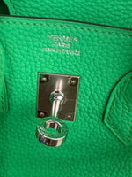 Hermès Vert Comics Togo Birkin 25 PHW Handbag ad3