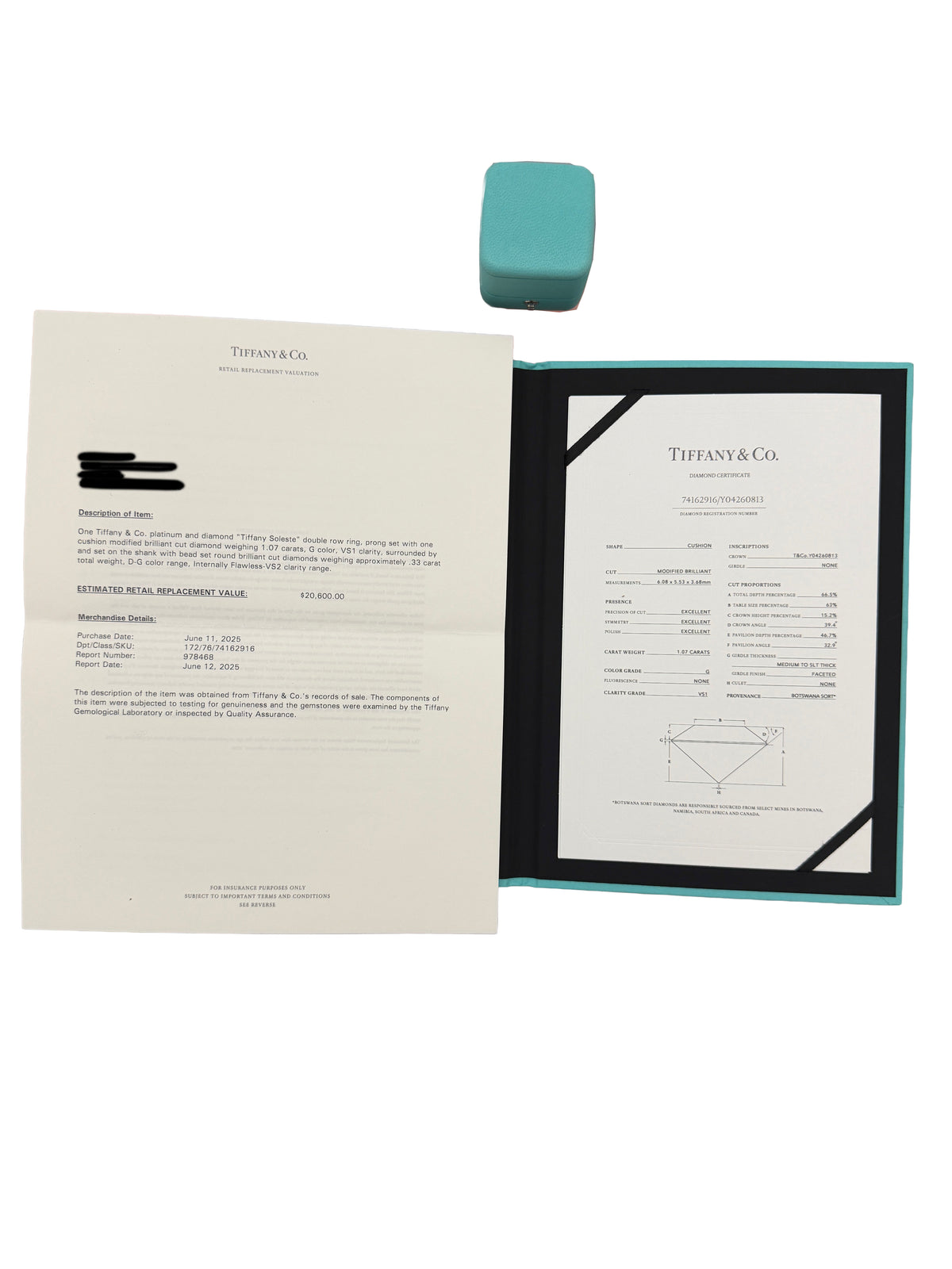 Tiffany & Co. 1.07 ct Cushion Diamond Soleste Double Halo Engagement Ring box