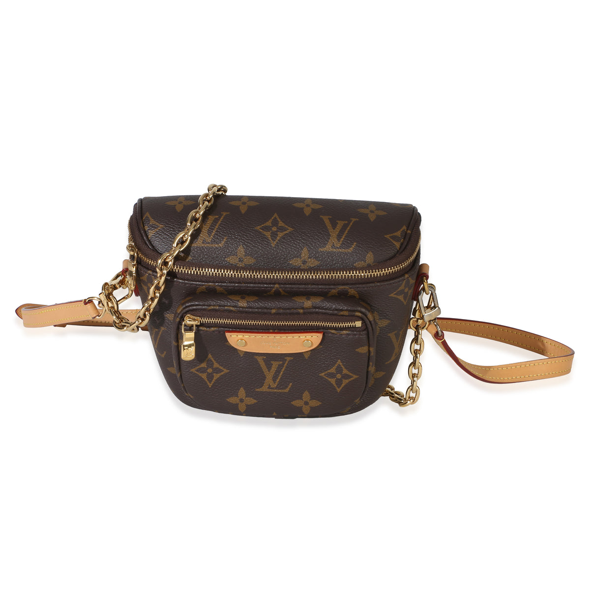 Louis Vuitton Monogram Canvas Mini Bumbag Handbag fv