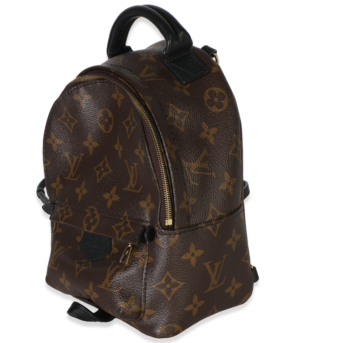 Louis Vuitton Monogram Canvas Mini Palm Springs Handbag 2