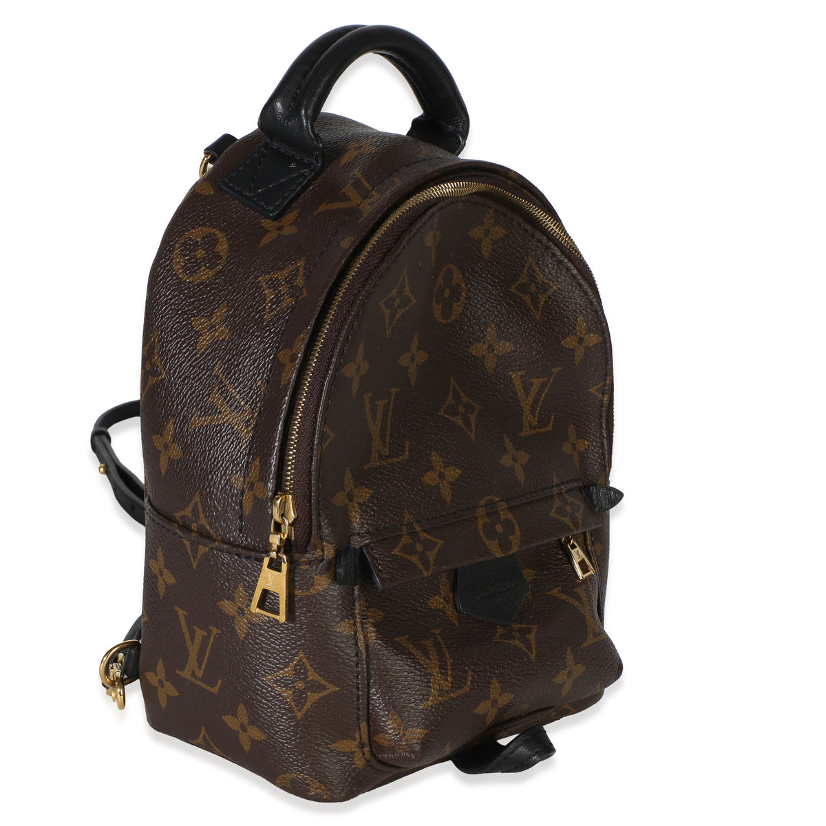 Louis Vuitton Monogram Canvas Mini Palm Springs Handbag 3
