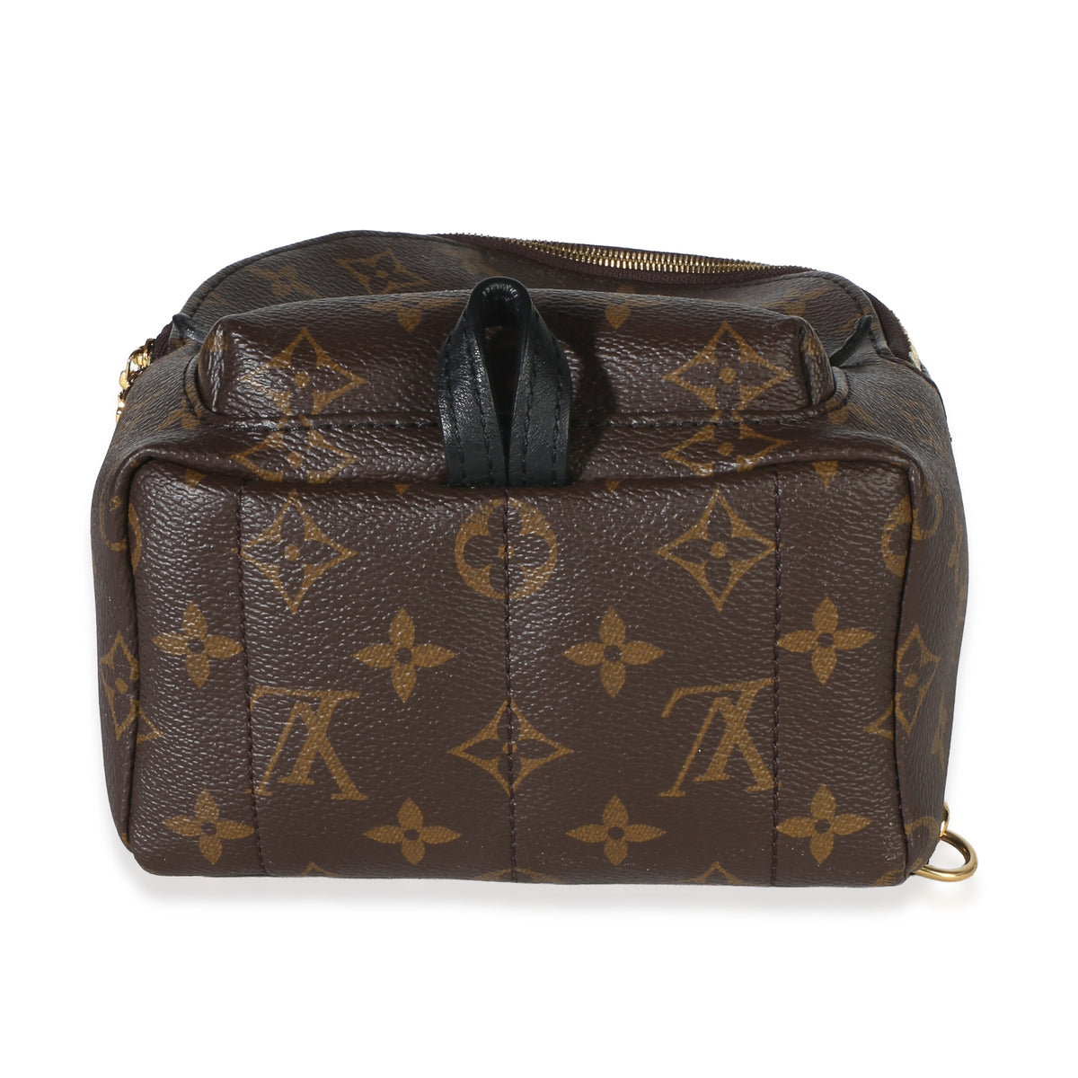 Louis Vuitton Monogram Canvas Mini Palm Springs Handbag 5