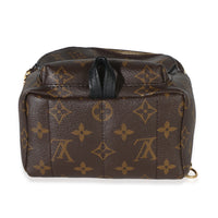 Louis Vuitton Monogram Canvas Mini Palm Springs Handbag 5