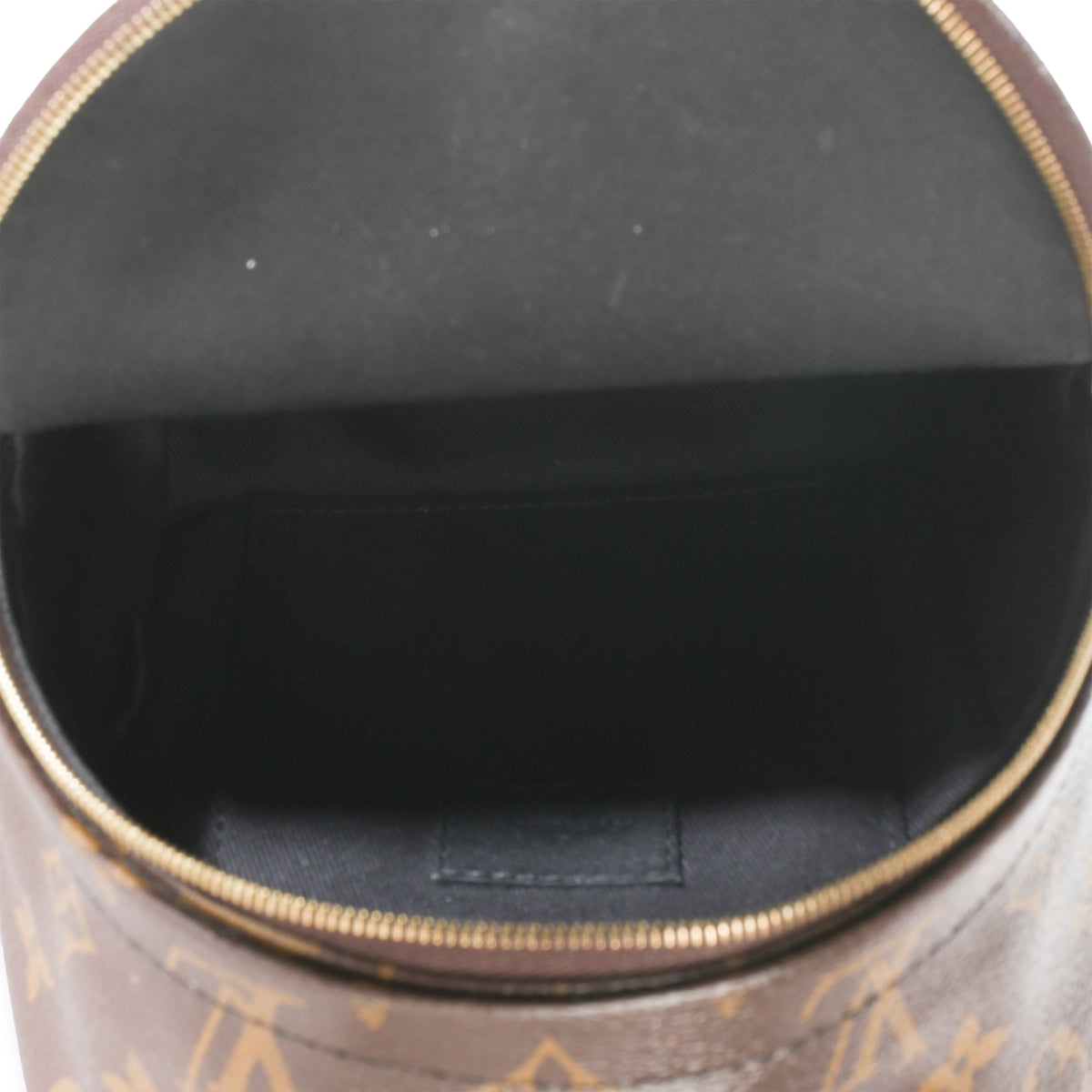 Louis Vuitton Monogram Canvas Mini Palm Springs Handbag 9