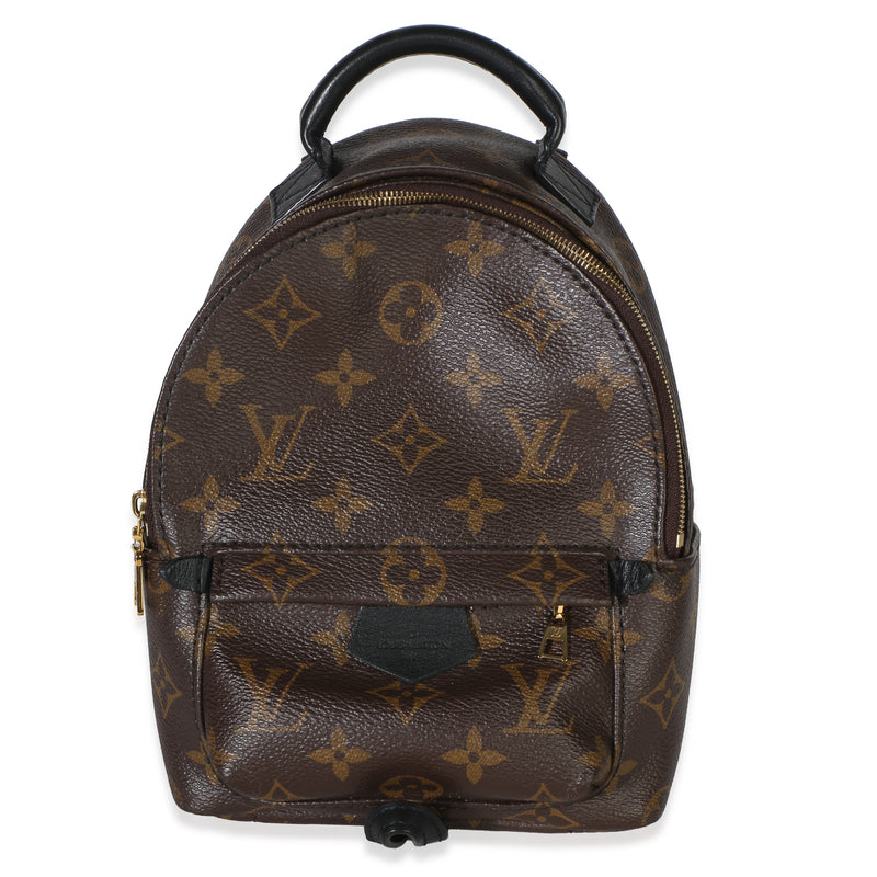 Louis Vuitton Monogram Canvas Mini Palm Springs Handbag fv