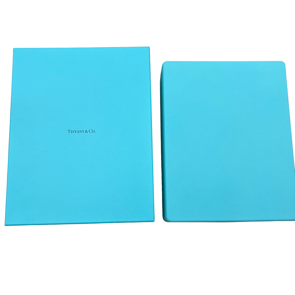 Tiffany & Co. Platinum Diamond Elsa Peretti Diamond By The Yard Necklace box