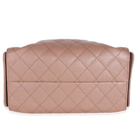 Chanel Light Brown Quilted Caviar Small  25 Hobo Handbag 5