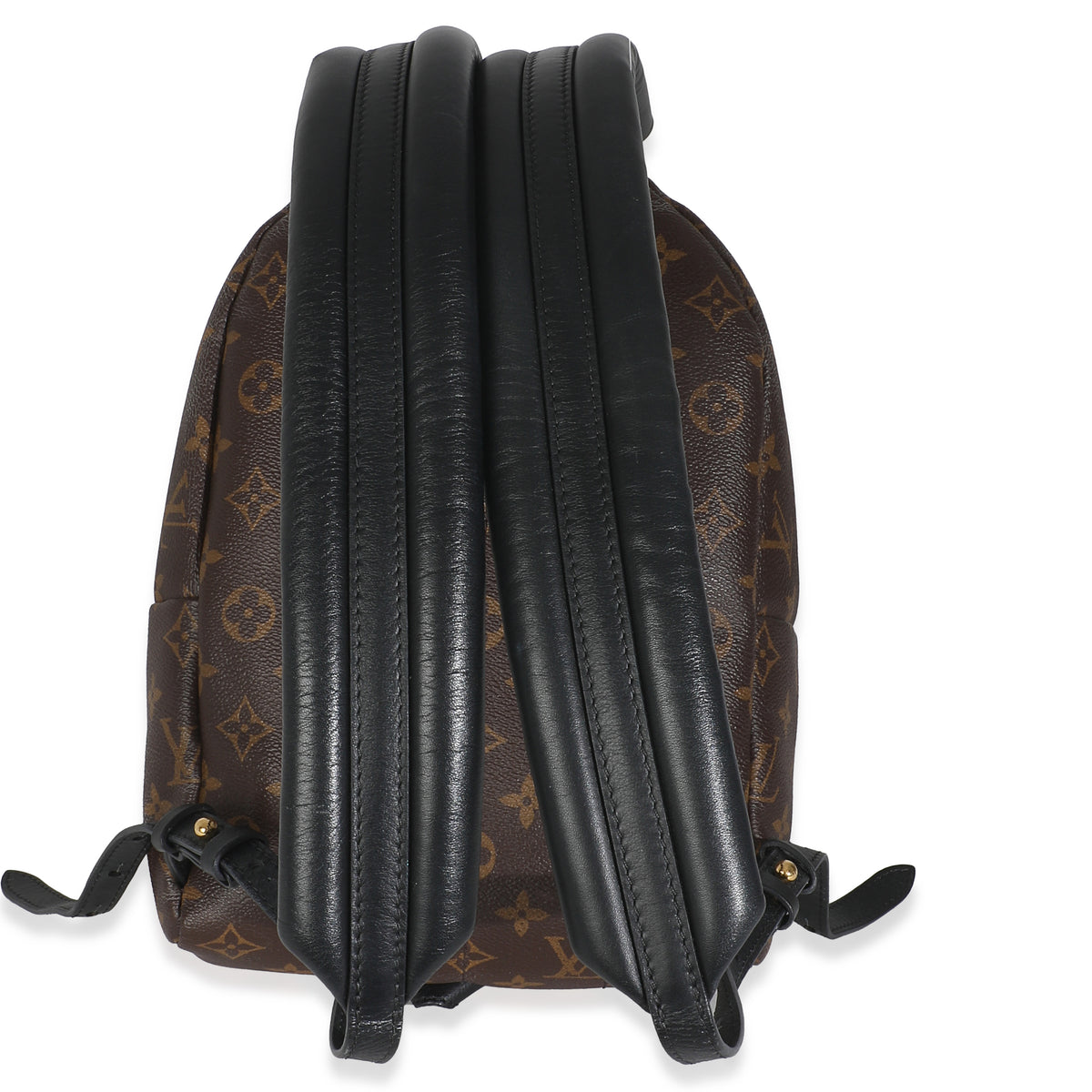 Reverse Monogram Canvas Palm Springs PM