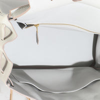 Gris Neve Togo Birkin 35 GHW