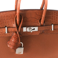 Gold Togo Matte Alligator Touch Birkin 25 PHW