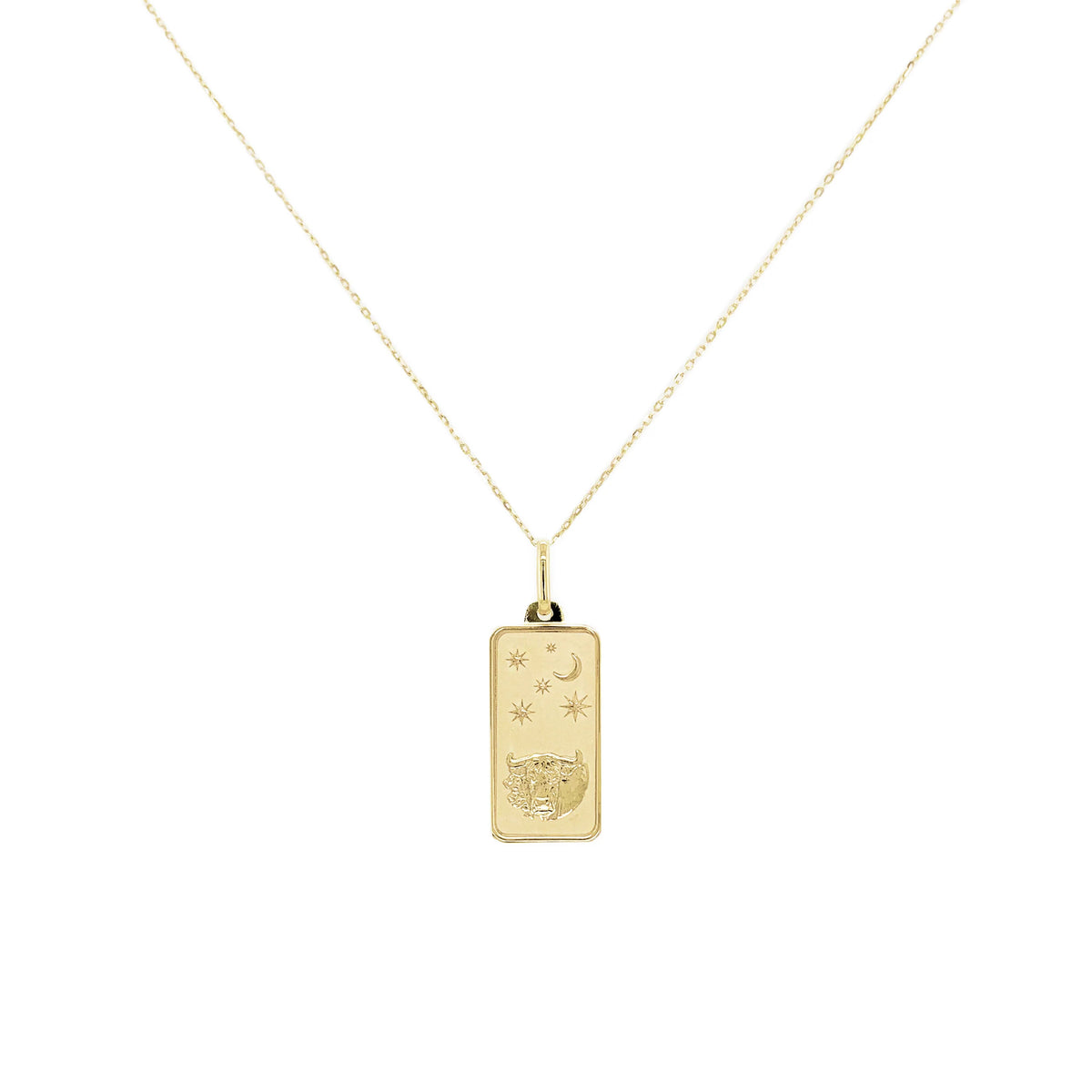 Taurus Zodiac Dog Tag Necklace in 14K Yellow Gold