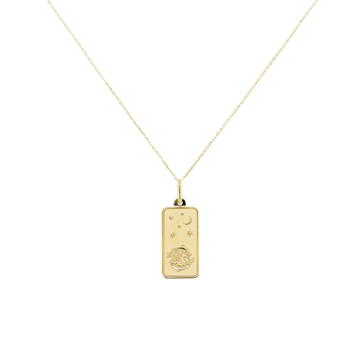 Pisces Zodiac Dog Tag Necklace in 14K Yellow Gold