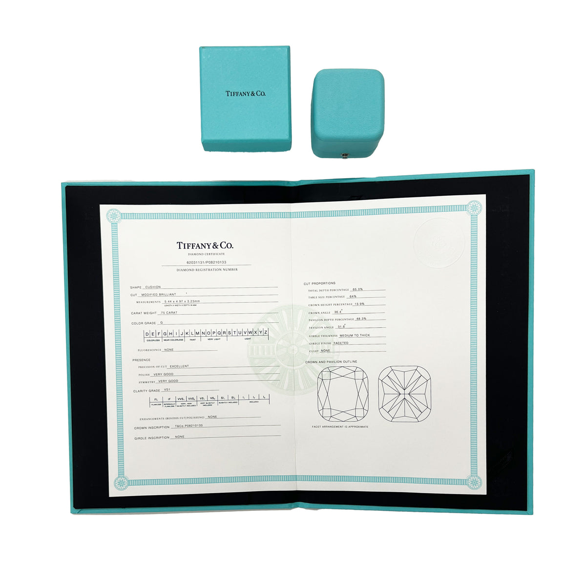 Soleste Diamond Engagement Ring in Platinum G VS1 1.1 CTW