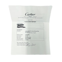 White Gold Diamond Maillon Panthere Double Row Band