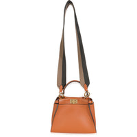 Brandy Amazzonia Seta Canvas FF Embroidered Mini Peekaboo Iconic Satchel