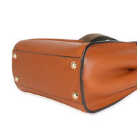 Brandy Amazzonia Seta Canvas FF Embroidered Mini Peekaboo Iconic Satchel