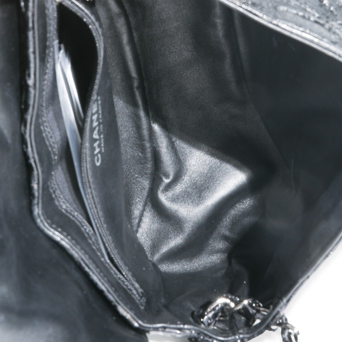 Black Python Sensual CC Small Accordion Flap Bag