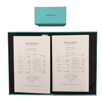 Platinum Diamond Soleste Earrings