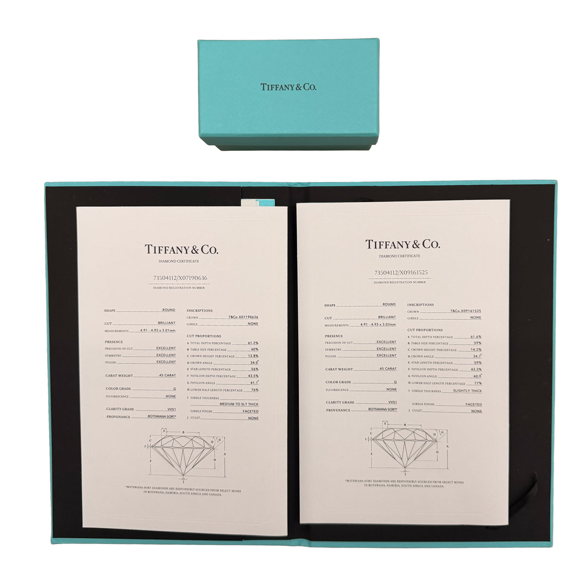 Platinum Diamond Soleste Earrings