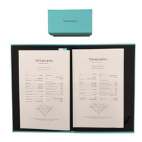 Platinum Diamond Soleste Earrings