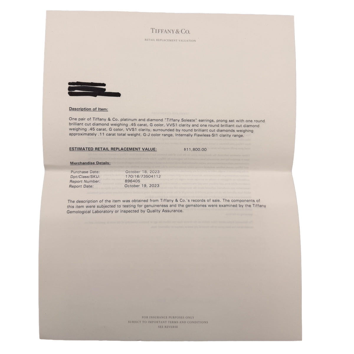 Platinum Diamond Soleste Earrings